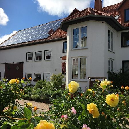 Gallowayhof Am Edersee Vöhl Zewnętrze zdjęcie